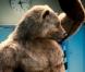 La publicité Orangina, la boisson qui permet de sentir bon sous les bras
