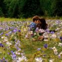 Twilight 3 : Regardez le nouveau clip romantique de Metric et découvrez le cachet faramineux des stars !