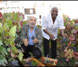 Gérard Jugnot et Firmine Richard, parrains de la Fête des Vendanges de Montmartre 2010, ont scrupuleusement respecté, samedi 9 octobre, le mot d'ordre de ce millésime : l'humour !