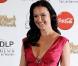Katherine Heigl, qui sera le 8 décembre à l'affiche de Bébé mode d'emploi , est une beauté perpétuelle sur tapis rouge...