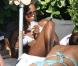 Naomi Campbell et Vladimir Doronin sur une plage à Miami à la fin du mois de novembre 2010