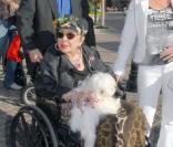 Elizabeth Taylor fait son shopping