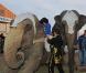 Stéphanie de Monaco rend visite aux artistes et aux animaux du 35e Festival du cirque de Monte-Carlo. 18 janvier 2011