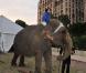 Stéphanie de Monaco rend visite aux artistes et aux animaux du 35e Festival du cirque de Monte-Carlo. 18 janvier 2011