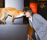 Ronnie Wood à l'inauguration de la Sexual Nature Exhibition au Musée d'Histoire naturelle de Londres, le 8 février 2011 