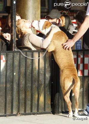 Hayden Panettiere prend un bain de foule à Venice Beach, le 22 février 2011