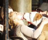 Hayden Panettiere : En mal de reconnaissance, elle embrasse un gros chien !