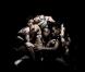 Des images extraites du clip Born This Way de Lady Gaga, février 2011