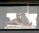 Gisele Bündchen et son mari Tom Brady au Carnaval de Rio, le 7 mars 2011