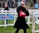 Zara Phillips au festival de Cheltenham, en mars 2011.