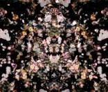 Björk et Nick Knight pour Alexander McQueen, 7 décembre 2010