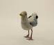 Images extraites du clip  The Look  de Metronomy, mars 2011