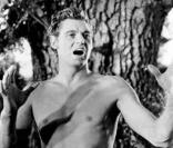 Johnny Weissmuller, mythique incarnation de Tarzan 