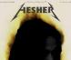 Des images de  Hesher , prochainement en salles.