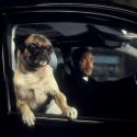 Le film de votre soirée : Will Smith et Tommy Lee Jones tout en noir et cultes !