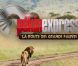 Pékin Express, la route des grands fauves: l'émission dévoile tous ses secrets !