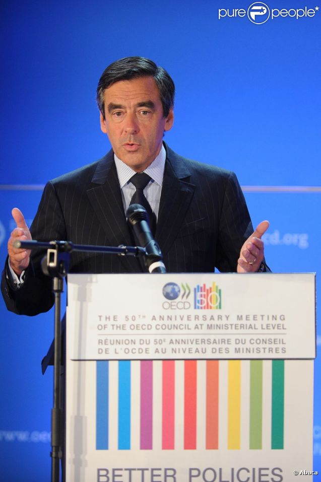 François Fillon à Paris, le 25 mai 2011.