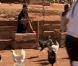 La chasse aux poules dans Pékin Express 6 la route des grands fauves, le mercredi 1 juin 2011 sur M6.