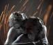 Anaïs s'abandonne avec fureur et à corps perdu dans le clip  I Love You , quatrième extrait du  Love Album , d'un érotisme primal et stylisé...