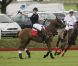 Le prince Harry lors d'un match de polo caritatif, le dimanche 19 juin 2011.