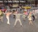 Jaleel White, l'inénarrable Steve urkel de la série La vie de famille, joue le rôle de Cee Lo Green dans le clip euphorisant de Cry baby , extrait de l'album The Lady Killer !