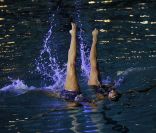 Un magnifique ballet de natation synchronisée lors du 50e anniversaire du stade nautique Prince Rainier III à Monaco le 19 août 2011
