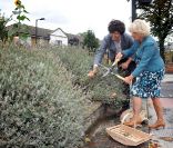 La duchesse Camilla Parker-Bowles dans sa tournée des jardins dans la ville, à Londres, le 6 septembre 2011. 