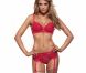 Elle Liberachi pour Gossard, novembre 2011.