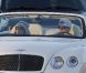 Jennifer Lopez et son nouveau petit ami Casper Smart : totalement in love dans une voiture à Los Angeles le 17 novembre 2011