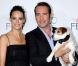 Jean Dujardin et Bérénice Bejo affrontent Brad Pitt et Jessica Chastain