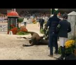   6 novembre 2011, Vérone, Italie  
 Personne ne pouvait imaginer que ce dimanche là, une légende du saut d'obstacle allait perdre la vie devant des milliers de personnes. Au terme de son parcours comptant pour la Coupe du monde de Saut d'obstacles, le célèbre étalon Hickstead s'effondre et convulse devant son cavalier impuissant Eric Lamaze, impuissant devant la souffrance de son cheval. Victime d'une rupture de l'Aorte, le cheval âgé de 15 ans décède en quelques secondes. Champion olympique à Pékin en 2008, il était considéré comme la meilleure monture au monde. La relation avec son cavalier était tellement forte, qu'Éric Lamaze a eu l'impression qu'au moment de tomber au sol, Hickstead a pris soin de ne pas le blesser. Au cours d'une conférence où l'émotion était forte, le cavalier a tenu à rendre hommage à son cheval avec lequel il avait noué une véritable relation, au point de se poser la question de la défense de son titre olympique à Londres en 2012... 
