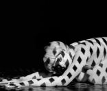 Rihanna dans le clip de You Da One, extrait de Talk That Talk