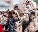  Kate Middleton le 
 Pour sa première année dans la famille royale, Catherine, duchesse de Cambridge, a donné à observer, dans le spectacle de son élégance, un petit geste très coquet : le recoiffage ! 