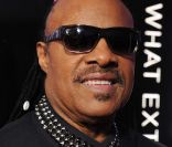 Stevie Wonder à Washington le 15 janvier 2012.<br />