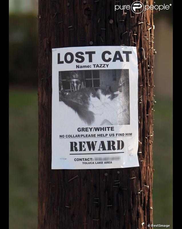 Kirsten Dunst et Garrett Hedlund ont accroché des affiches dans les rues de Los Angeles, pour retrouver Tazzy 