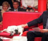 Michel Drucker, en deuil, après la mort d'Olga...