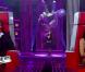 Prestation de Stéphanie dans The Voice le samedi 10 mars 2012 sur TF1