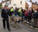 Les chiens du chanteur aux obsèques de Robin Gibb à Thame le 7 juin 2012.