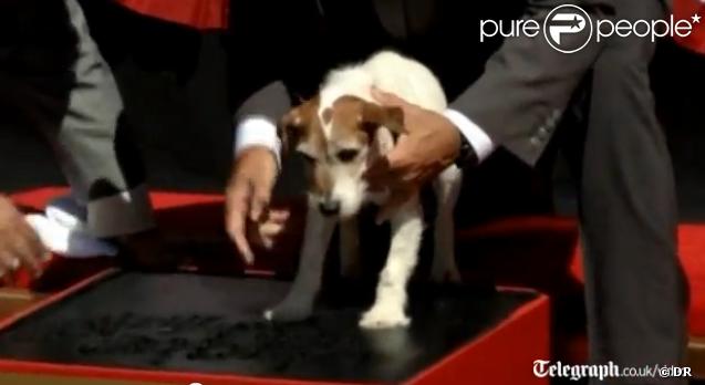 Uggie, célèbre chien de The Artist, a laissé ses empreintes sur Hollywood Boulevard