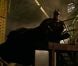 Bande-annonce de Batman Begins