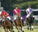 Les princes William et Harry disputaient le 5 août 2012 un match de polo caritatif au profit de trois associations qu'ils soutiennent, lors du Jerudong Trophy, dans les Costwolds.