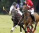 Les princes William et Harry disputaient le 5 août 2012 un match de polo caritatif au profit de trois associations qu'ils soutiennent, lors du Jerudong Trophy, dans les Costwolds.