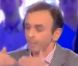 En 2010, Eric Zemmour dérape sur le sujet de l'immigration dans Salut les terriens