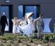 Jean-Luc Delarue et Anissa Khel le jour de leur mariage le 12 mai 2012 à Sauzon