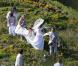 Jean-Luc Delarue et Anissa Khel le jour de leur mariage le 12 mai 2012 à Sauzon