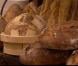 L'épreuve du sandwich dans Masterchef 2012 le jeudi 18 octobre 2012 sur TF1