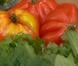 L'épreuve de la salade de tomates dans Masterchef 2012 le jeudi 18 octobre 2012 sur TF1
