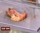 Des gambas façon japonaise dans Masterchef 2012 le jeudi 18 octobre 2012 sur TF1