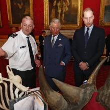 <p>Le prince Charles et le prince William participaient à la conférence End Wildlife Crime sur la lutte contre les traffics et pour la préservation de la vie sauvage, le 21 mai 2013 au palais St James, à Londres.</p>