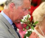 Le Prince Charles